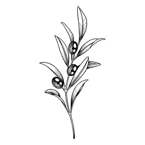 Olive Branch 2 - Temporalis