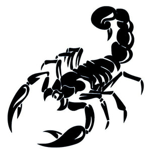 Scorpion 2 - Temporalis