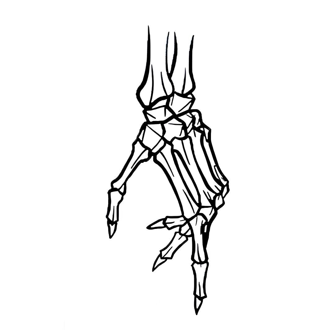 Skeleton Hand Tattoo - 2 | Temporalis