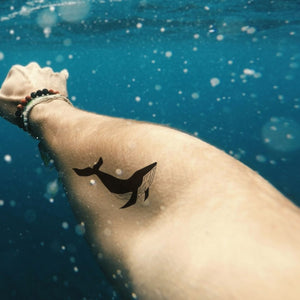 Whale Silhouette Temporary Tattoo - 1 | Temporalis